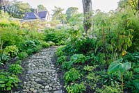A cobble path broken up with stone ribs passes through the woodland garden planted with choice shade loving plants.