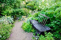 Rustic bench in the woodland garden surrounded by epimediums, primulas, ferns, pulmonaria, brunnera and Darmera peltata.