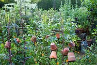 Informal vegetable garden with terracotta pots watering can. Garden: Rustling End Cottage, Hertfordshire. Owners: Mr and Mrs Wise
