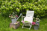 Seat in front of quince tree in blossom with tulips and apple blossom in bucket and watering can