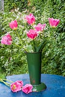 Tulipa 'Pink Fountain' with cow parsley in vintage enamel florist's bucket