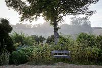 Hanham Court Gardens in late summer. Bench surrounded by Fennel, growing exuberently beneath tree