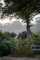 Hanham Court Gardens in late summer. Bench surrounded by Fennel, growing exuberently beneath tree