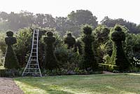Pruning the yew topiary at Hanham Court Gardens in late summer.
