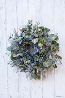 Christmas wreath with eucalyptus, juniper berries and sprayed white fern leaves, ivy berries and twigs