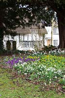 Looking towards the house from the churchyard with snowdrops, crocus and winter aconites in the foreground. Galanthus, Eranthis hyemalis
