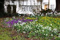 Looking towards the house from the churchyard with snowdrops, crocus and winter aconites in the foreground. Galanthus, Eranthis hyemalis