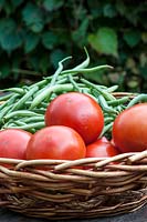 Harvest of green beans 'Allegria' and tomatoes  in a kitchen garden
