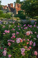Formal rose garden at Borde Hill