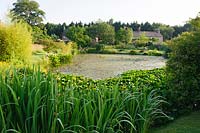 Pond. Felley Priory, Underwood, Notts, UK