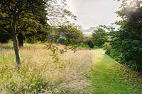 Long meadow grasses. Felley Priory, Underwood, Notts, UK