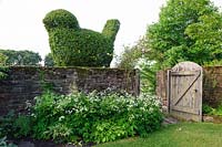 Hawthorn topiary bird appears to sit on the boundary wall. Felley Priory, Underwood, Notts, UK