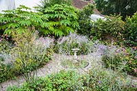 Beds of Perovskia 'Blue Spire' and pink Japanese anemones, Anemone hupehensis 'Hadspen Abundance' against a backdrop of large leaved Tetrapanax papyrifer 'Rex'.