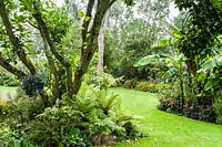 Bold foliage plants such as bananas are underplanted with bright flowers like dahlias and annuals rudbeckias, in curving island beds.