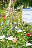 Informal country cottage garden with,  sweet pea wigwam - 'Sweet Chariot', and traditional Beehive.