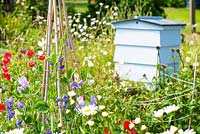 Informal country cottage garden with, sweet pea wigwam - 'Sweet Chariot', and traditional Beehive.
