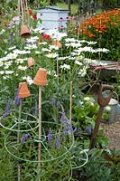 Informal country cottage garden with Shasta daisies - Leucanthemum, sweet pea wigwam, Heleniums and traditional beehive.