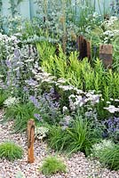 Gravel garden with Achillea millefolium 'Wonderful Wampee', Nepeta racemosa 'Walker's Low' and Eucalyptus gunnii 'Azura' - By The Sea, RHS Hampton Court Palace Flower Show 2017