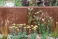 Dauca carota 'Dara' with Achillea 'Moonshine', Verbena bonariensis and Deschampsia cespitosa 'Garnet Schist' - Brownfield Metamorphosis, RHS Hampton Court Palace Flower Show 2017