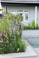 Raised bed with Eryngium 'Big Blue', Lavandula 'Edelweiss', Salvia 'Caridonna' and Agapanthus 'Navy Blue' - The Urban Rain Garden, RHS Hampton Court Palace Flower Show 2017