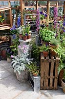 Herbs and flower pots besides timber greenhouses. Design: Gabriel Ash, RHS Hampton Court Palace Flower Show 2017