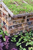 Bugs hotel. Wildlife tower from recycled pallets with sedum on living green roof. Design: Walton Community Allotment. RHS Hampton Court Palace Flower Show 2017