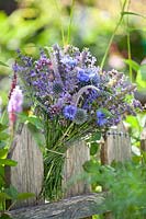 Buunch of blue and purple summer flowers on a fence. Cornflower, Echinops ritro, chives, origanum, veronicastrum, elephant garlic, lavandula, Verbena bonariensis.