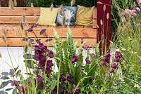 A wooden garden seat screened by grass -  Pennisetum thunbergii 'Red Buttons' Hart's-tongue fern, Penstemon 'Blackbird'
