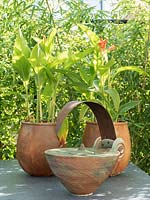 Small city garden. Table with pots, Canna and oil lamp