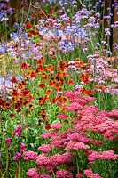 Hampton Court Flower Show, 2017. The Colour Box garden, des. Charlie Bloom. Achillea 'New Vintage Red', Helenium 'Moorheim Beauty' and Verbena bonariense in riot of summer colour in border