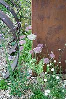 Hampton Court Flower Show, 2017. Brownfield Metamorphosis Garden. Daucus carota and Knautia Macedonica 'Mars Midget' against a rusted metal wall