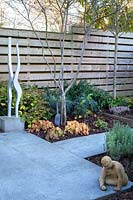 Hydrangea, Hellebore ,mixed Epimedium including E. youngianum 'Niveum' Ferns. The sculpture cleverly echos the shape of the tree a multi- stemmed Amelanchier lamarckii