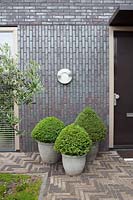 Low maintenance front garden and containers with Buxus sempervirens.