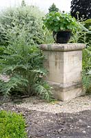 Pillar next to Cynara with a pot planted with Tropaeolum