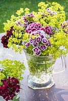 Flower arrangement Dianthus barbartus - Sweet Williams and alchemilla mollis in glass vase