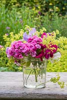 Summer floral arrangement in glass jar with alchemilla mollis, Dianthus barbartus, sweet peas and fragaria barbartus