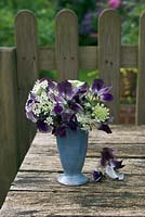 Sweet pea 'Earl Grey' and Ammi majus in blue vase