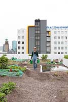 Gardener with straw hat and overall on the rooftop kitchen garden in the centre of Rotterdam, Holland.
