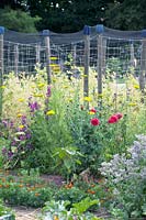Overview garden with beans, courgettes flowers and wild flowers.