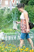 Woman walking in the kitchen garden with bag filled with freshly harvested leek.