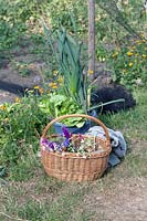 Basket filled with freshly picked wildflowers and bucket with lettuce and leek.