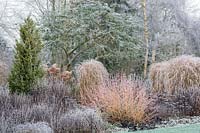 Foggy Bottom, The Bressingham Gardens, January.