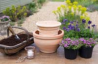 Ingredients needed to create tiered lantern container with Phlox 'Dwarf Carpet' and Nemesia 'Myrtille'