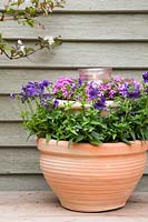 Tiered lantern container with Phlox 'Dwarf Carpet' and Nemesia 'Myrtille'