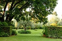 La Limonaia Garden. Designed by Arabella Lennox Boyd. Fiesole. Florence. Italy