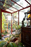 Inside conservatory. Carlo Maggia house and garden. Mortola. Italy