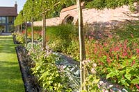 Long herbaceous borders with planting including: pleached Pyrus calleryana 'Chanticleer', Japanese anemones, Stachys, Persicaria, Ophiopogon planiscapus 'Nigrescens', and Miscanthus sinensis 'Kleine Fontaine'.