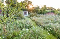 A grassy path leads to a summerhouse, while wildflowers, supplied by Wildflower Turf Ltd, flower beneath an orchard of Pear, Apple and Plum trees in a modern Cheshire country garden, designed by Louise Harrison-Holland.