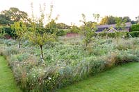Wildflowers, supplied by Wildflower Turf Ltd, flower beneath an orchard of Pear, Apple and Plum trees in a modern Cheshire country garden, designed by Louise Harrison-Holland.