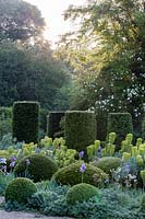 Hanham Court Gardens, Bristol. Early summer garden with topiary balls, Iris and Euphorbia